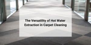 The Versatility of Hot Water Extraction in Carpet Cleaning