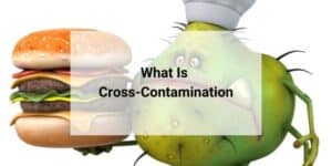 cross contamination, germ with a burger