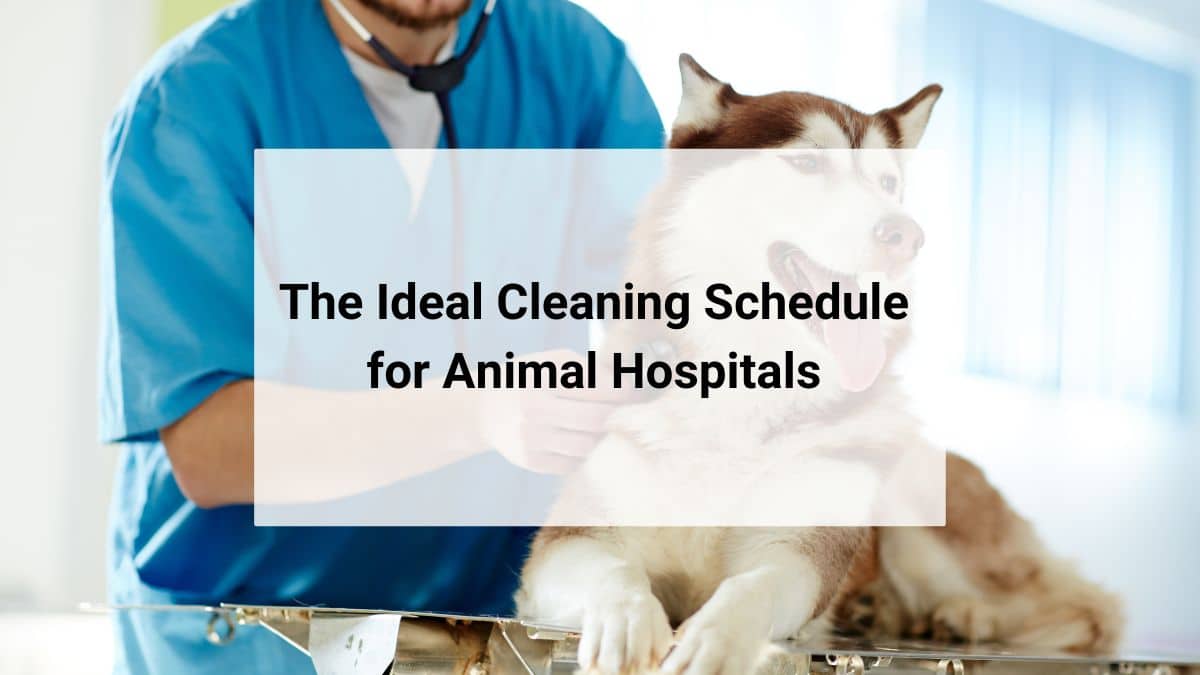 cleaning schedule for animal hospitals